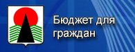 баннер открытый бюджет
