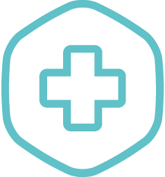 icon21.256.png