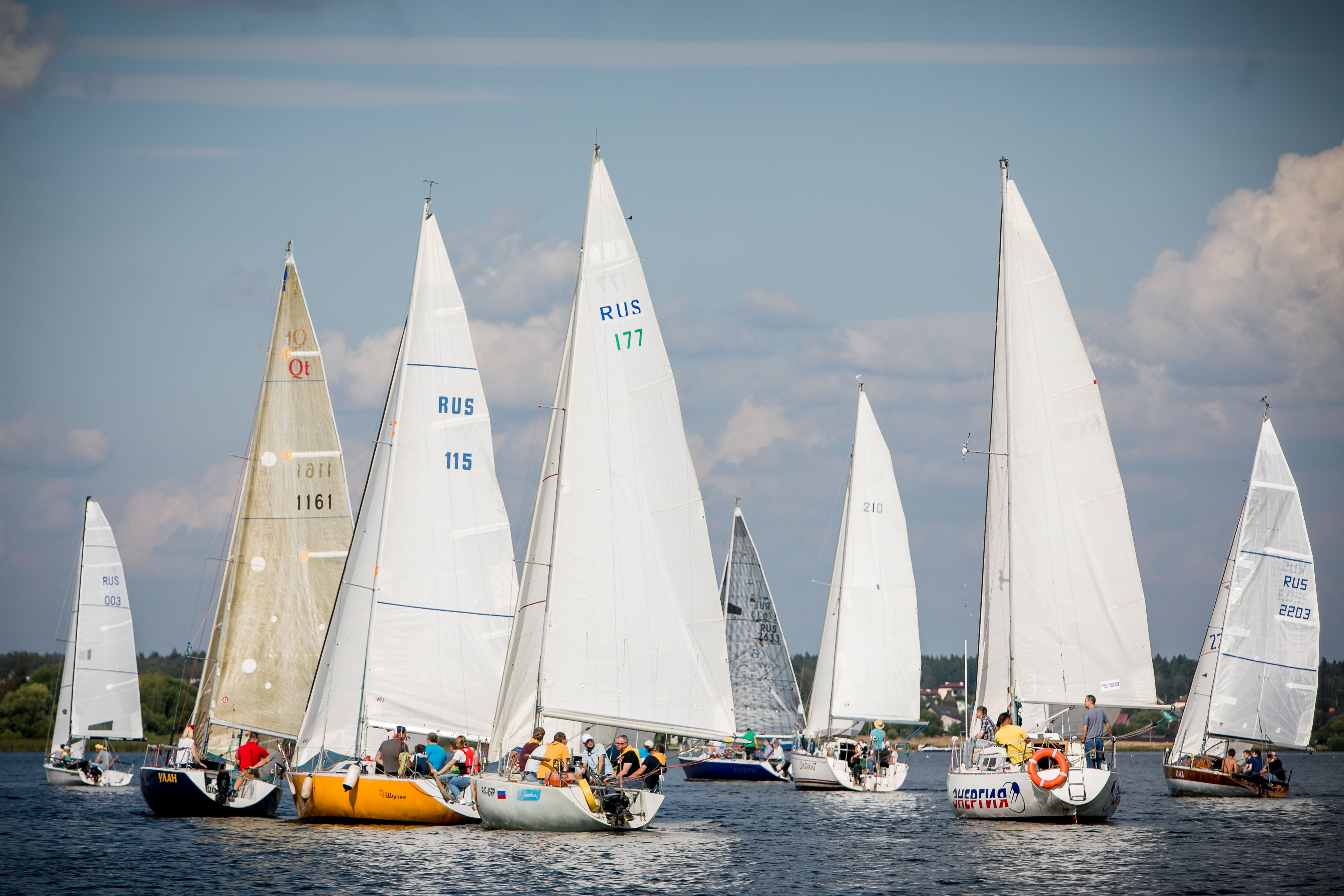 regata1
